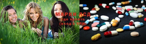 ПСИЛОЦИБИНОВЫЕ ГРИБЫ Верхнеуральск