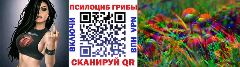 Псилоцибиновые грибы прущие грибы  Купить  Павловская 