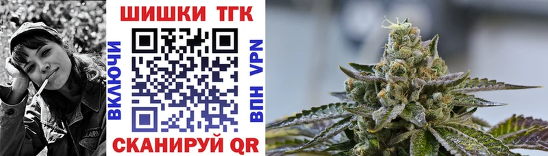 Купить закладки  Павловская  Каннабис сатива 